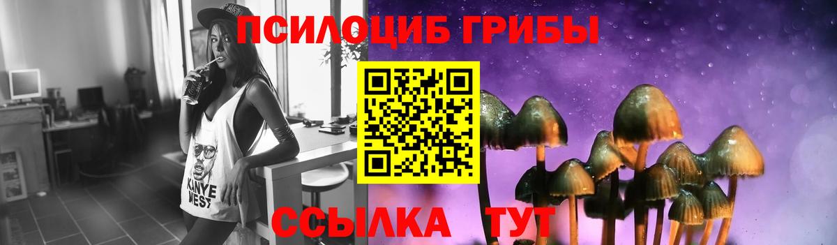 где купить   Псилоцибиновые грибы Psilocybe  Вход с VPN  Минеральные Воды 